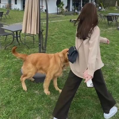 情场玩咖