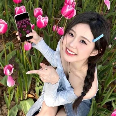 唐琅探案